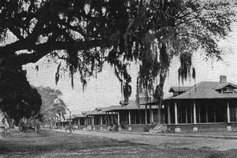 The Culture Of Sugar Cane St Charles Parish Louisiana Virtual History Museum