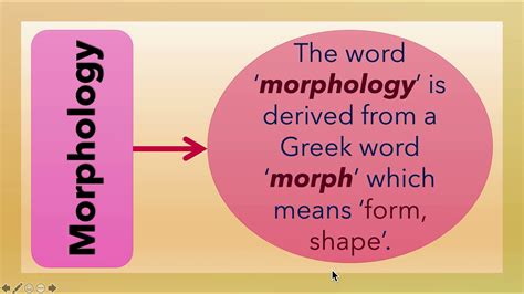 Morphology 