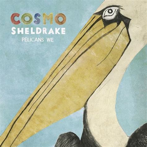 Cosmo Sheldrake Pelicans We Lyrics And Tracklist Genius