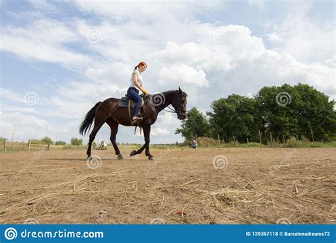 Uma Mulher Do Ruivo Que Monta Um Cavalo No Campo Um Arbusto Verde Em Um