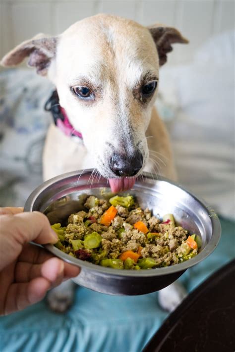 Homemade Turkey Dog Food with Veggies