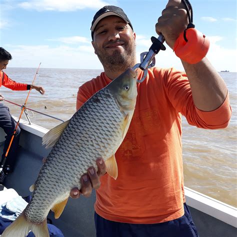 Guia De Pesca En Berisso Altapesca Bogones De Abril