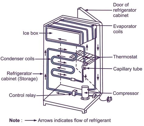 ultimate guide  understanding refrigerator components  detailed
