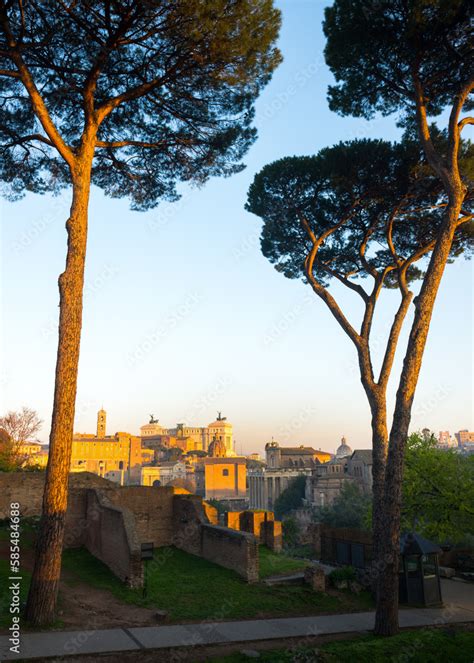 Roman Forum ruins, Rome, Italy. Aerial vertical view of famous tourist ...