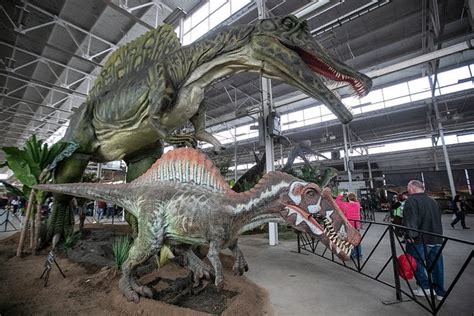 Dinosaur Lovers Flock To Jurassic Quest At Indiana State Fairgrounds