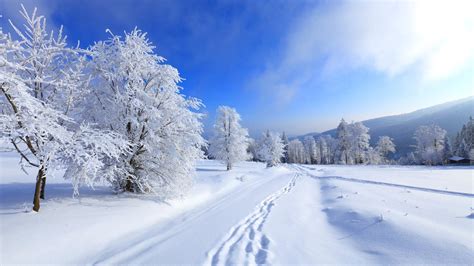 Winter Wallpapers For Desktop 57 Pictures Wallpaperset