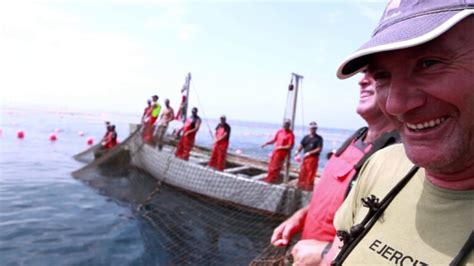 Descubre La Mejor Tienda De Pesca De Barcos En Jerez Actualizado