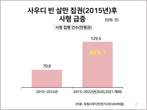 사우디 빈살만 집권2015년후 사형 급증 통계자료