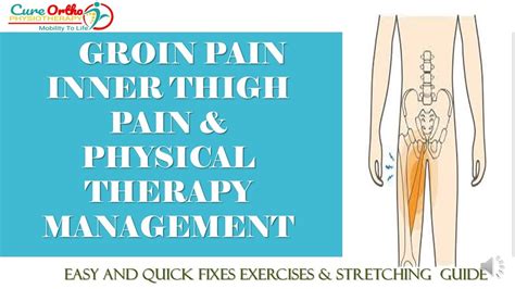 Groin Pain Inner Thigh Pain Quick Fix Exercises Streches Youtube