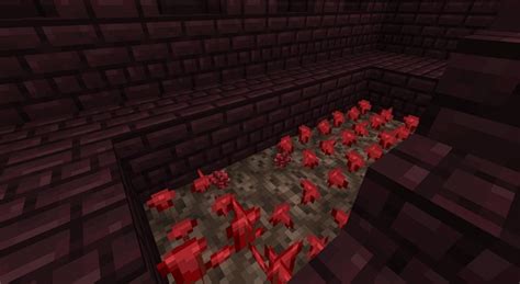 How To Find Nether Wart In Minecraft 2022 Beebom