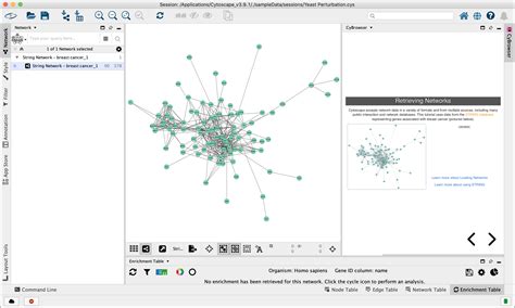 15. Cytoscape Web Browser — Cytoscape User Manual 3.10.4 documentation