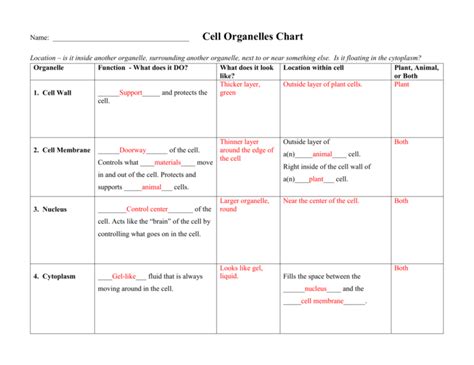 Cell Organelle Chart