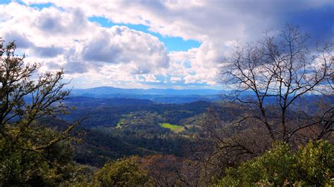 Free Images Tree Nature Forest Wilderness Cloud Sky Meadow