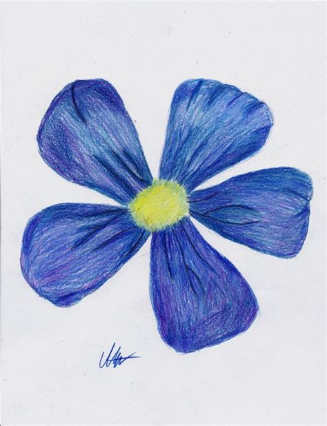 Blue Flower - Art by Indigo - Drawings & Illustration, Flowers, Plants ...