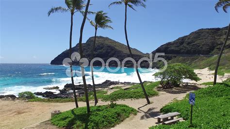 Makapuu Beach Oahu Hawaii Makapuu Beach Park Local Insider Review