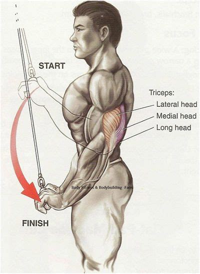 Best Tricep Exercises For Women How To Get Toned Arms Triceps