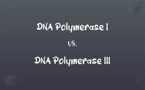 DNA Polymerase I vs. DNA Polymerase III: What’s the Difference?