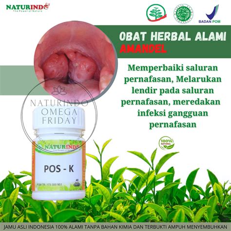 Jual Obat Amandel Herbal Naturindo Tenggorokan Bengkak Untuk Anak