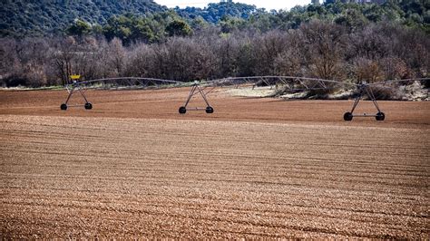 Basin Irrigation Explained (Definition, System & Examples)