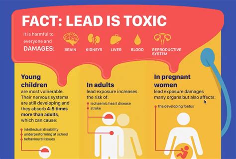 Webinar International Lead Poisoning Prevention Week The Caribbean Environment Programme Cep