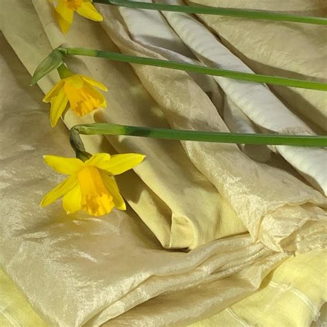 Daffodil Dye Sewing Cafe Lancaster