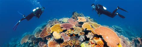 Great Barrier Reef Australië Travelessence