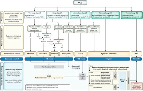 Bclc Strategy For Prognosis Prediction And Treatment Recommendation The 2022 Update Journal