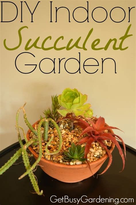 How To Make An Indoor Succulent Garden Step By Step Instructions