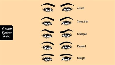 Eyebrow Basics Video Tutorial Fyi