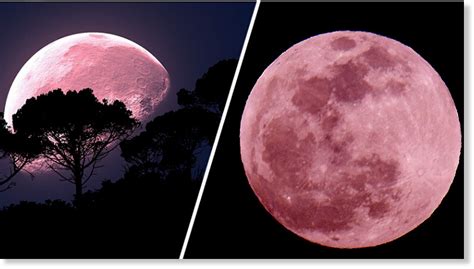 The Upcoming Super Pink Moon Will Be The Biggest And Best Of 2020