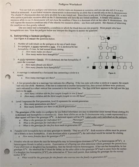 Sex Linked Traits Worksheet Answer Key Worksheet Master