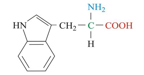 Tryptophan - an essential amino acid - Assignment Point