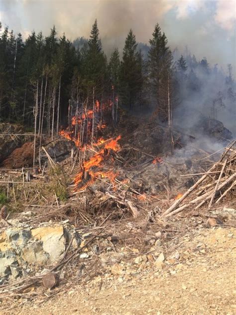 Wildfires Burn More Than 200 Acres In Snohomish County Nearby