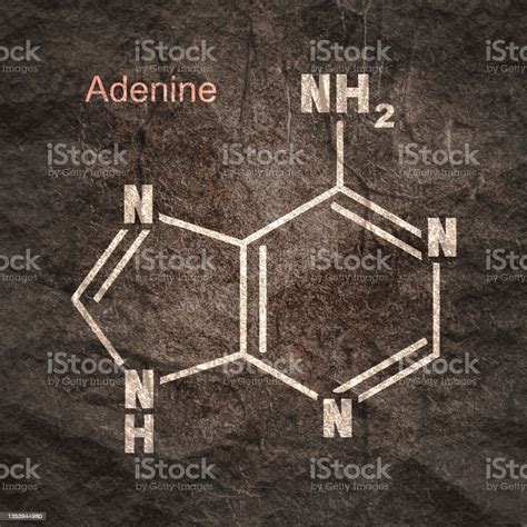 Chemical Structural Formula Of Adenine Dna And Rna Nitrogen Base Stock Illustration Download