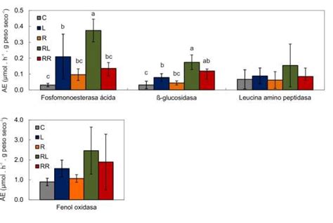 Valores promedio de las actividades enzimáticas AE en diciembre de