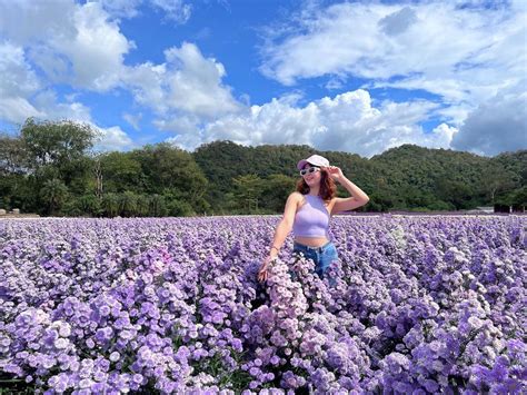 Reasons Why You Should Visit Khao Yai