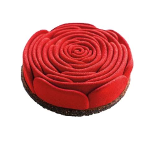 Molde De Silicone Rosa Para Entremet Individual Loja Do Silicone