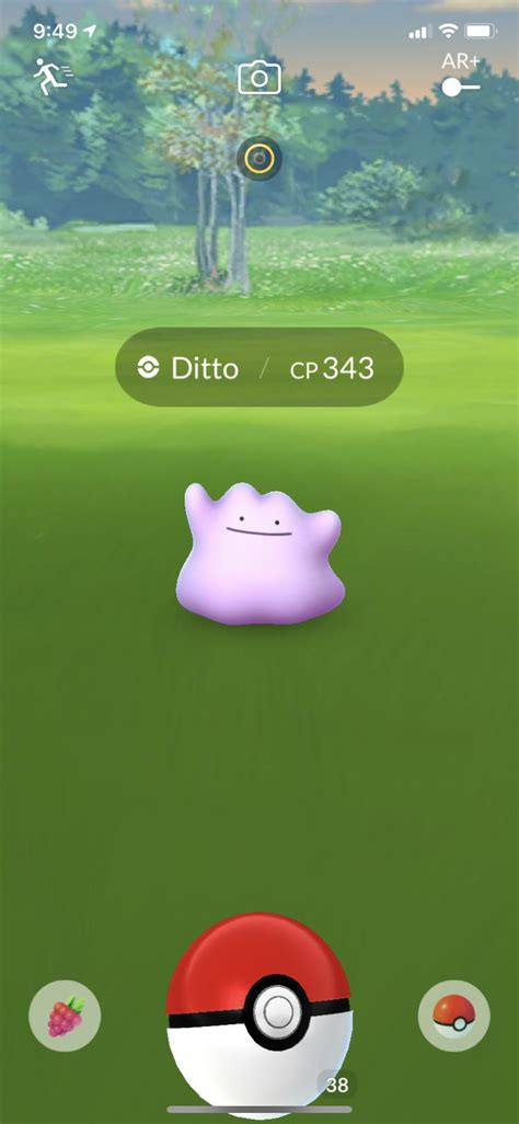 Found My Second Ditto Right After I Found My First Playing Since 2018