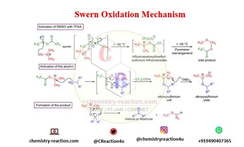 Swern Oxidation Examples Mechanism Application