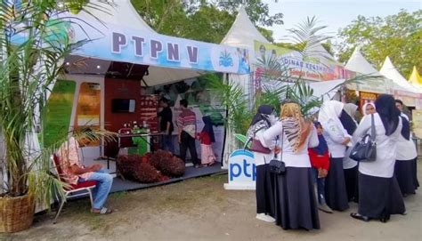 Ptpn V Turut Serta Semarakan Festival Rakyat Bagholek Godang Di