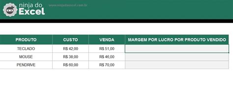 Como Calcular A Margem De Lucro De Produto No Excel Ninja Do Excel