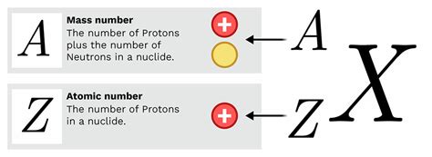 Mass Number and Atomic Number - Labster