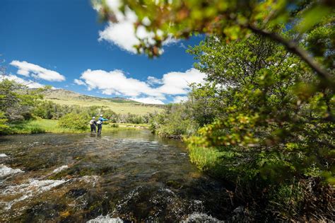 The Ultimate Guide to Chile Fly Fishing | Yellow Dog