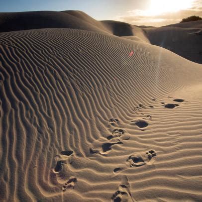 Dunes Campestre Al Gov Br