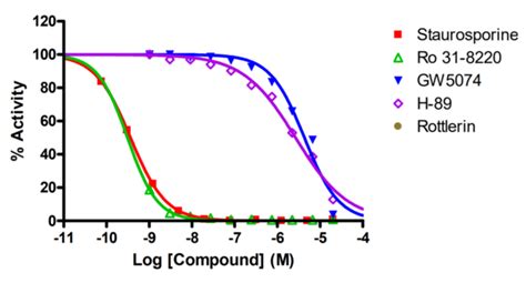 Pkca Kinase Assay Service Reaction Biology