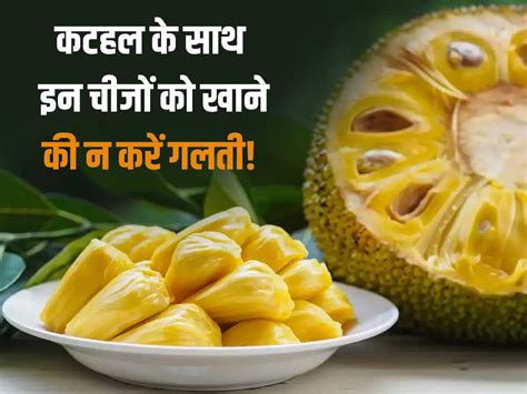 Jackfruit Bad Combination कटहल खाने के बाद भूलकर भी न खाएं ये चीजें