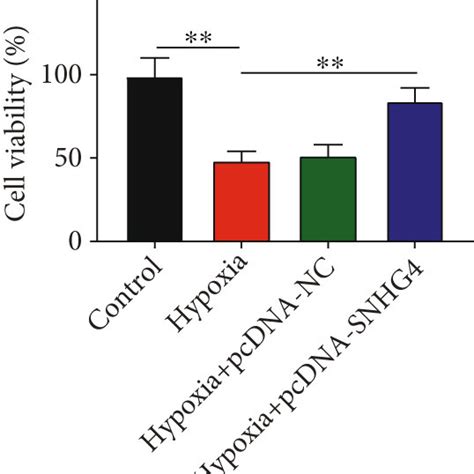 Overexpression Of Snhg Promotes The Viability And Represses The