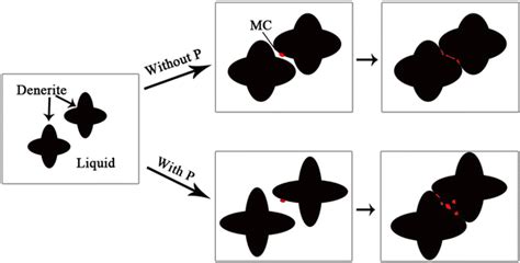 Schematic Diagram Of Mc Carbide Formation Of The Alloys Without And