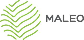MALEO | Traitement de surfaces ensablées | Machine unique