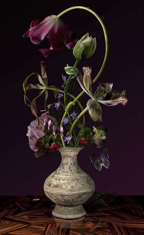 Photographic Floral Still Lifes By Bas Meeuws Artofit